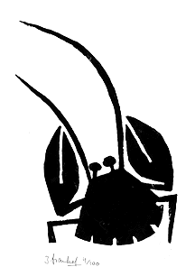 Bird 3/3